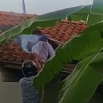 Screenshot_20260228_005411_Facebook