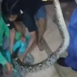 Screenshot_20260301-042525