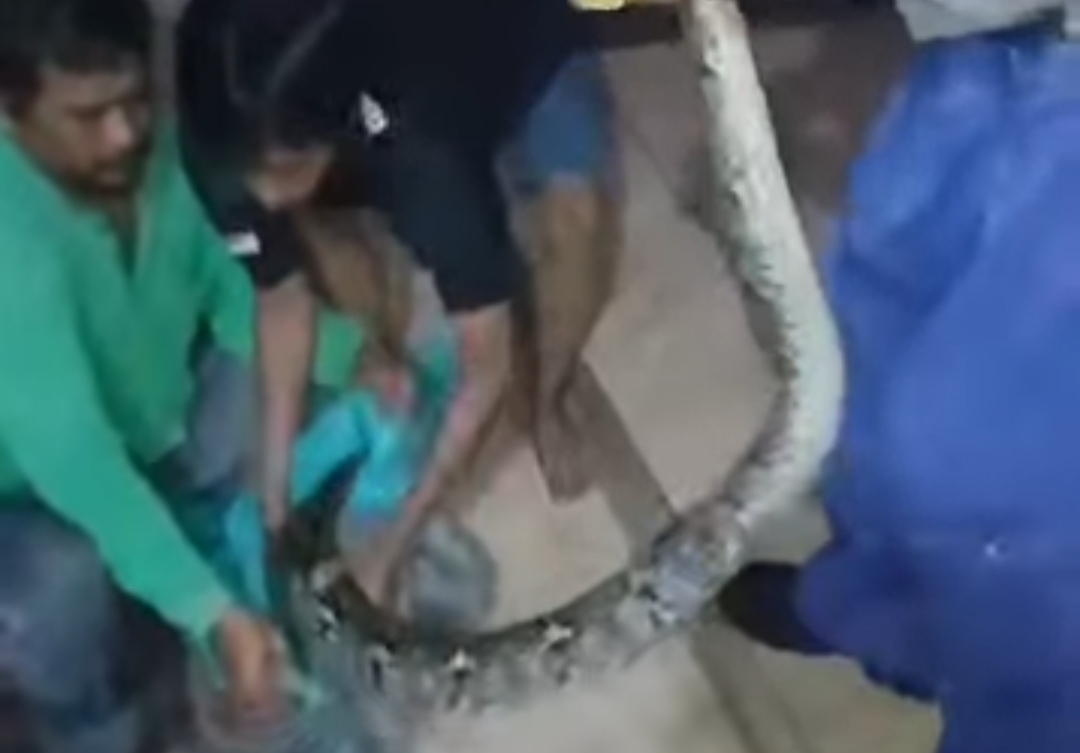 Screenshot_20260301-042525