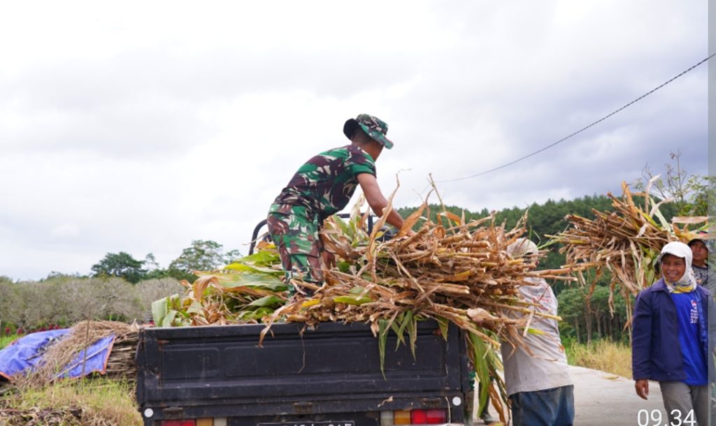 Screenshot_20260308-131652