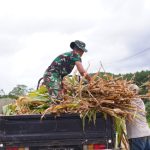 Screenshot_20260308-131652