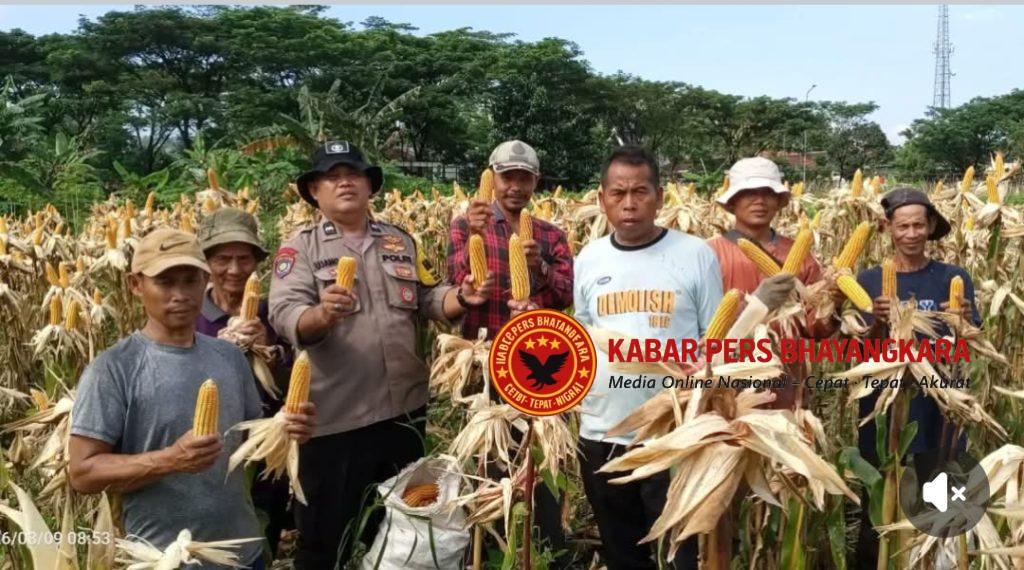 Screenshot_20260317-062627