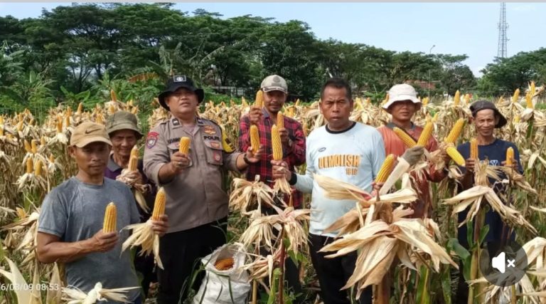 Screenshot_20260317-062627