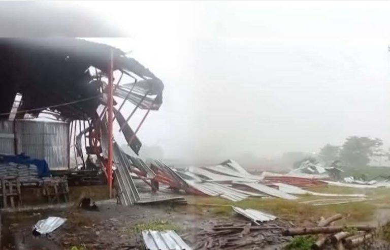 Screenshot_20260411-232321